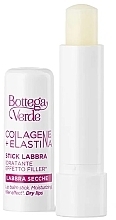 Бальзам для сухих губ - Bottega Verde Collagen + Elastine Lip Balm Stick — фото N1