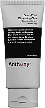 Духи, Парфюмерия, косметика Глина для глубокого очищения пор - Anthony Deep Pore Cleansing Clay