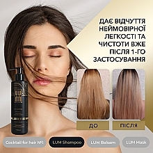 Набір "Професійний догляд за волоссям" - LUM (shm/250ml + h/balm/250ml + h/mask/200ml + hair/coc/50ml) — фото N7