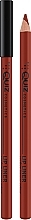 Духи, Парфюмерия, косметика Карандаш для губ - Quiz Cosmetics Lip Liner