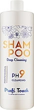Шампунь для волосся "PH 9" - Profi Touch Shampoo Cleansing — фото N1