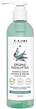 Парфумерія, косметика Шампунь для жирного волосся - T-Lab Professional Organics Organic Eucalyptus Shampoo