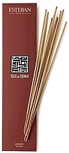 Парфумерія, косметика Esteban Teck & Tonka - Бамбукові ароматичні палички