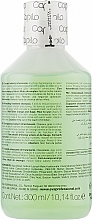 Освежающий лечебный шампунь для жирной кожи головы - Eva Professional Capilo Ekilibrium Shampoo №08 — фото N3