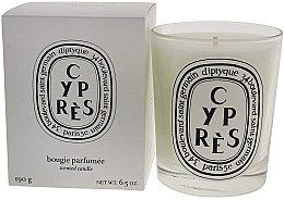 Ароматическая свеча - Diptyque Cypres Candle — фото N2