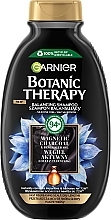 Парфумерія, косметика Шампунь для волосся з активованим вугіллям та олією чорного кмину - Garnier Botanic Therapy Balancing Shampoo