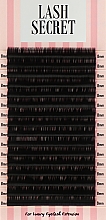 Накладные ресницы, черные, 16 линий (один размер, 0,05, C, 8) - Lash Secret — фото N1