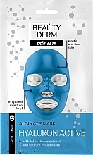 Парфумерія, косметика Альгінатна маска "ГіалуронАктив" - Beauty Derm Face Mask