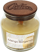Ароматическая свеча "Манго-бергамот" - ArtAroma Candle Mango Bergamot — фото N1