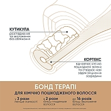 Набор для восстановления химически поврежденных волос - Biolage Professional Bond Therapy (shmp/250ml + h/cond/200ml) — фото N2