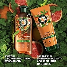 Кондиціонер для об'єму волосся "Апельсин" - Herbal Essences Volume Orange Scent Conditioner — фото N6