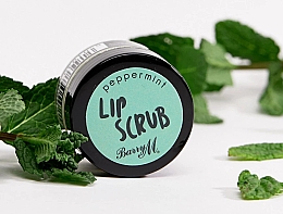 Скраб для губ "Мята перечная" - Barry M Lip Scrub Peeling Peppermint — фото N2