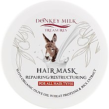 Восстанавливающая маска с молоком ослицы - Pharmaid Donkey Milk Hair Mask — фото N1