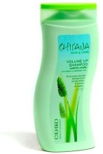 Парфумерія, косметика Шампунь для тонкого і ослабленого волосся- C:ENKO Chisana Volume Up Shampoo