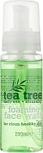 Духи, Парфюмерия, косметика Пенка для умывания - Xpel Marketing Ltd Tea Tree Foaming Face Wash