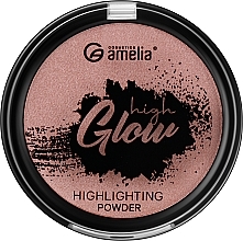 Хайлайтер для лица - Amelia Cosmetics Highlighter — фото N2