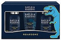 Духи, Парфюмерия, косметика Набор - Baylis & Harding Men's Citrus Lime & Mint Small 3 Piece Set(hair/body/wash/100ml + a/sh/balm/50ml + face/wash/100ml)