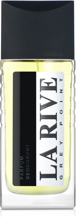 La Rive Grey Point - Парфюмированный дезодорант