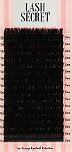 Парфумерія, косметика Накладні вії, чорні, 16 ліній (один розмір, 0,05, C, 10) - Lash Secret