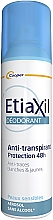Духи, Парфюмерия, косметика Антиперспирант-дезодорант "Защита 48 часов" - Etiaxil Anti-Perspirant Deodorant Protection 48H Aerosol