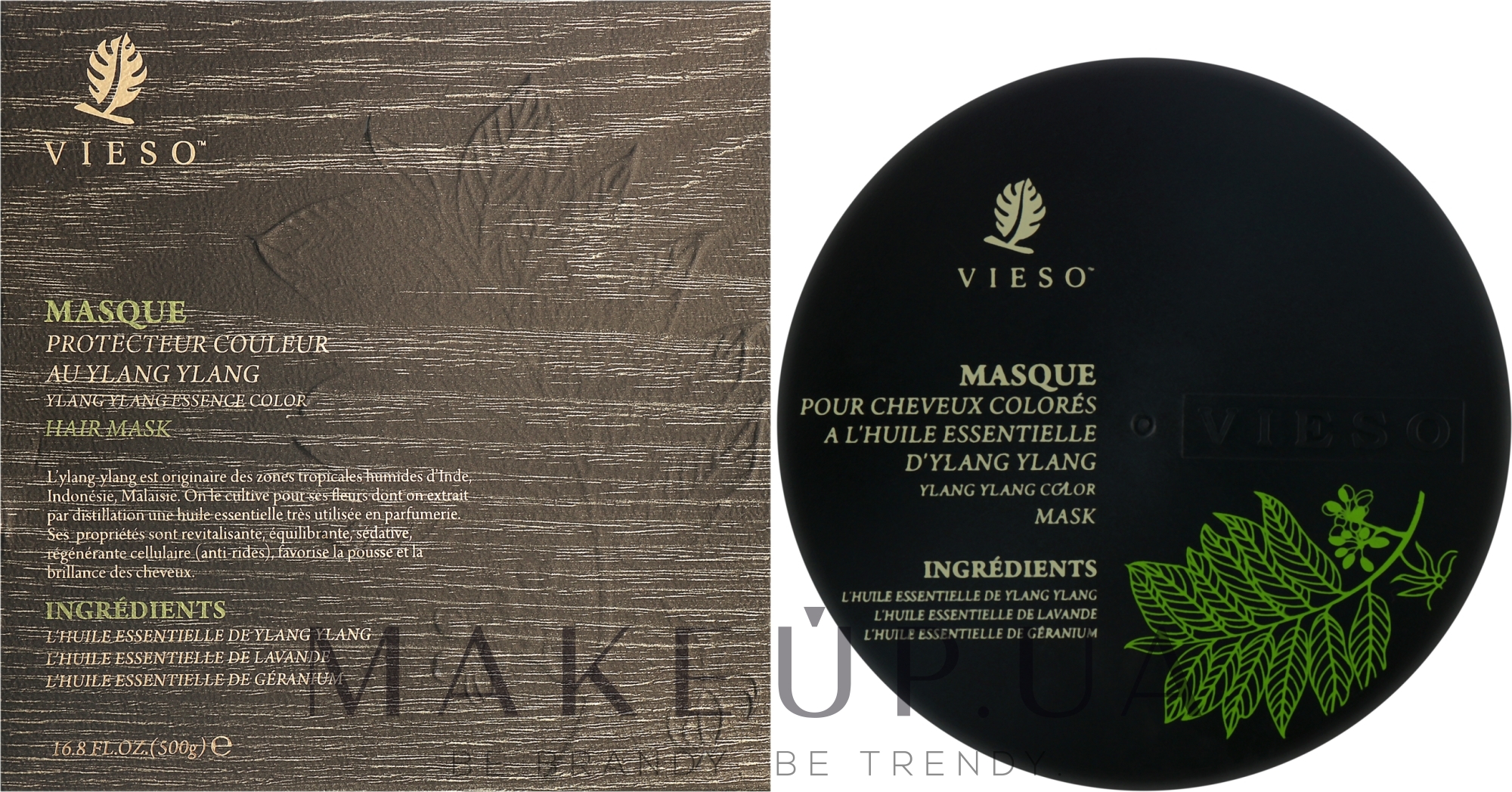 Маска для окрашенных волос с иланг илангом - Vieso Ylang Ylang Essence Color Hair Mask — фото 500g