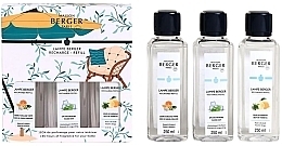 Парфумерія, косметика Maison Berger Water Mint - Набір (refill/250mlх3)