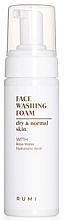 Пенка для умывания, для сухой и нормальной кожи лица - Rumi Face Washing Foam Dry & Normal Skin — фото N1
