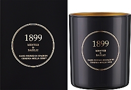 Ароматическая свеча - Cereria Molla Menthe&Basilic Scented Candle  — фото N2