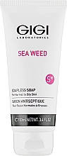 Непенящееся мыло для умывания - Gigi Sea Weed Soapless Soap — фото N1