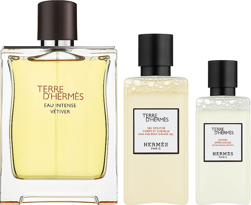 Terre D'Hermes Eau Intense Vetiver - Набір (edp/100ml + ash/40ml + sh/gel/80ml) — фото N1