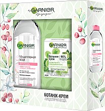 Духи, Парфюмерия, косметика Набор - Garnier Skin Naturals Botanic (cr/50ml + micellar/400ml)