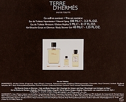 Hermes Terre d’Hermes - Набор (edt/100ml + sh/gel/40ml + edt/5ml) — фото N3