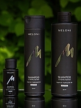 Восстанавливающий безсульфатный шампунь с гидролизатом шелка и аргановым маслом - Meloni Xtreme Repair Shampoo — фото N8