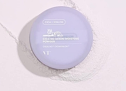 Увлажняющая рассыпчатая пудра для лица - VT Cosmetics Cica No Sebum Moisture Powder — фото N4