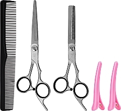 Набор - Lewer (scissors/2pcs + hairclip/2pcs + hair comb + case) — фото N1