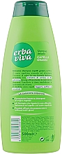 Шампунь з екстрактами женьшеню та кропиви для жирного волосся - Erba Viva Hair Shampoo — фото N2