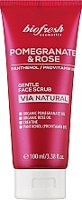 Парфумерія, косметика Ніжний скраб для обличчя "Гранат і троянда" - BioFresh Via Natural Pomergranate & Rose Gentle Face Scrub