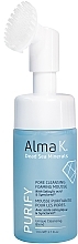 Очищувальна пінка-мус для обличчя - Alma K. Purify Pore Cleansing Foaming Mousse With Salicylic Acid & Symlacriol — фото N1