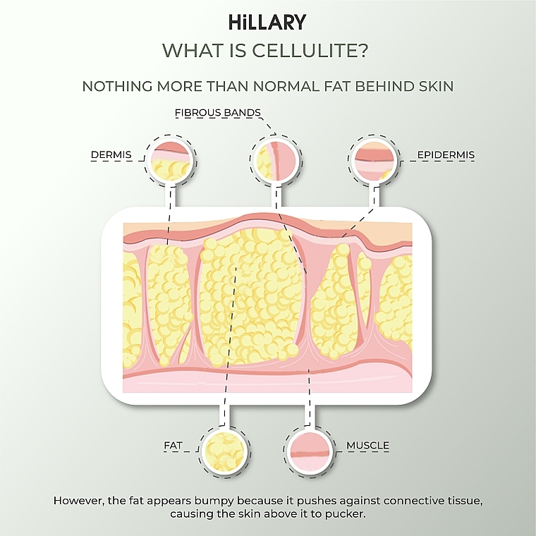 Антицелюлітний ензимний гель - Hillary Anti-cellulite Gel Zymo Cell — фото N6