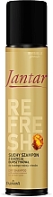 Парфумерія, косметика Сухий освіжальний шампунь із бурштином для волосся - Farmona Jantar Refresh