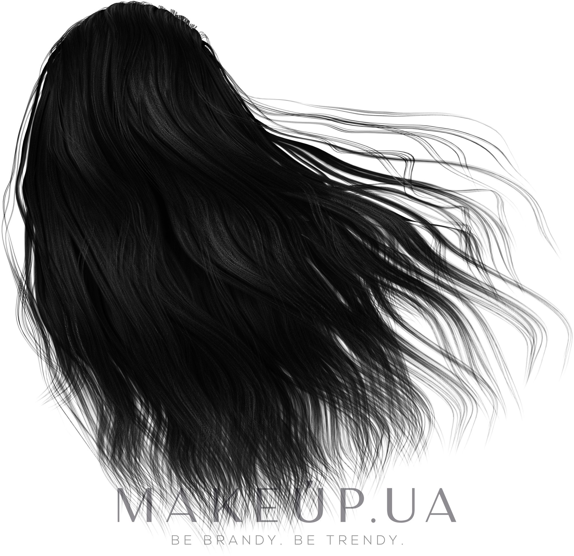 Крем-фарба для волосся - Spa Master Basic Line Hair Color — фото 1/0N - Black