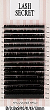 Накладные ресницы, черные, 16 линий (mix, 0,1, D, 9-13) - Lash Secret — фото N1