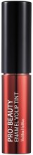 Тінт для губ - Holika Holika Pro Beauty Enamel Volip Tint — фото N1