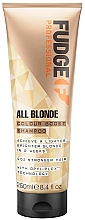 Парфумерія, косметика Шампунь для світлого волосся - Fudge Professional All Blonde Colour Boost Shampoo