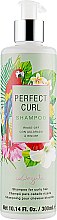 Парфумерія, косметика Шампунь для хвилястого волосся - Dessata Perfect Curl Shampoo