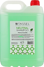 Шампунь для волосся - Eurostil Tassel — фото N1