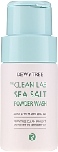 Парфумерія, косметика Пудра для вмивання з морською сіллю - Dewytree The Clean Lab Sea Salt Powder Wash