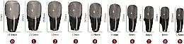 Типсы для ногтей, акриловые, прозрачные, 504 шт. - Reney Cosmetics Soft Gel Tips Medium Coffin RX-102 — фото N2