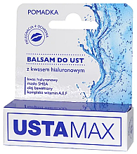 Бальзам для губ з гіалуроновою кислотою - MaXmedical UstaMax Lip Balm With Hyaluronic Acid — фото N1