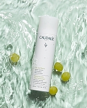 Увлажняющая виноградная вода - Caudalie Cleansing & Toning Grape Water Sensitive Skin — фото N5